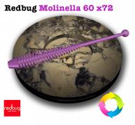 Redbug Molinella 60 x72
