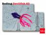 Redbug DevilFish 60