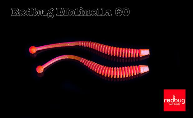 Redbug Molinella 60